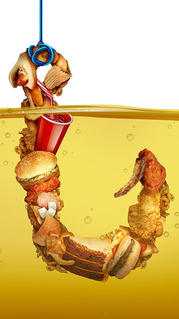unhealthy fast foods on a large fishhook suspended in oil